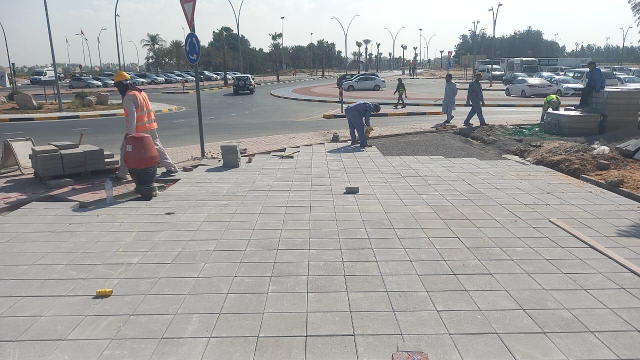 Landscaping with Al Bania 9